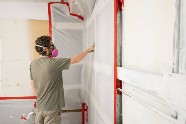 Best Comprehensive Air Testing for Mold Contaminants  in Evanston, WY