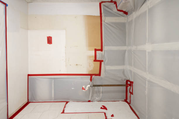 Best Dehumidification Services  in Evanston, WY