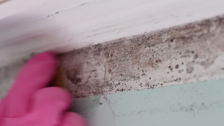 Best Airborne Mold Testing  in Evanston, WY